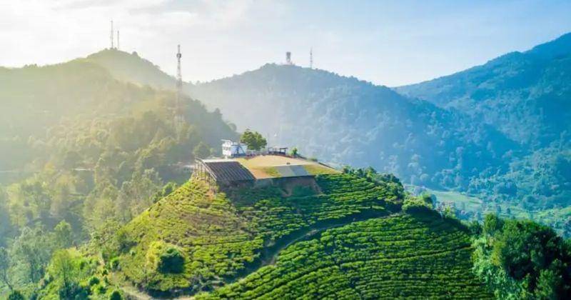 Traveloka.com/Agro Wisata Gunung Mas